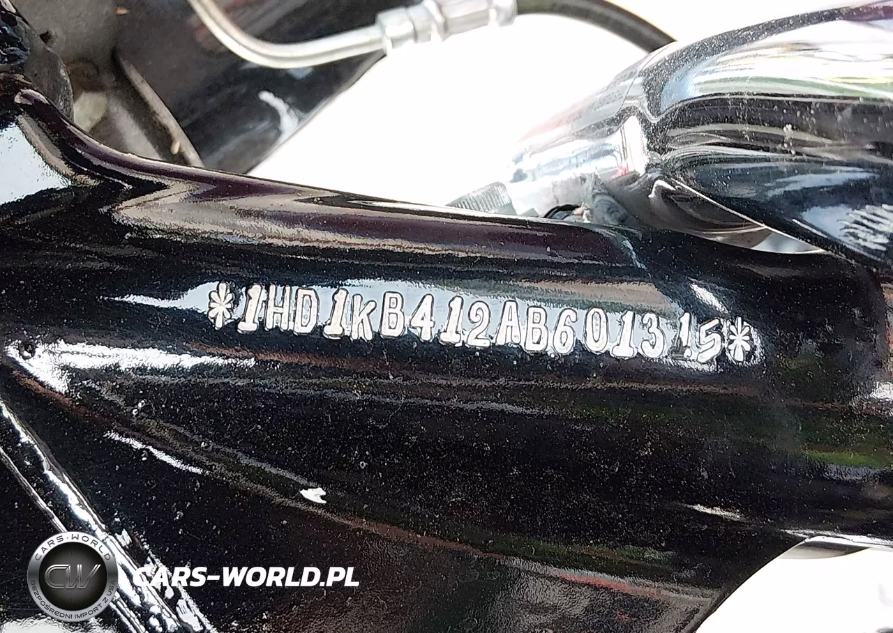 2010 Harley-Davidson Flhx VIN:1HD1KB412AB601315 - 10