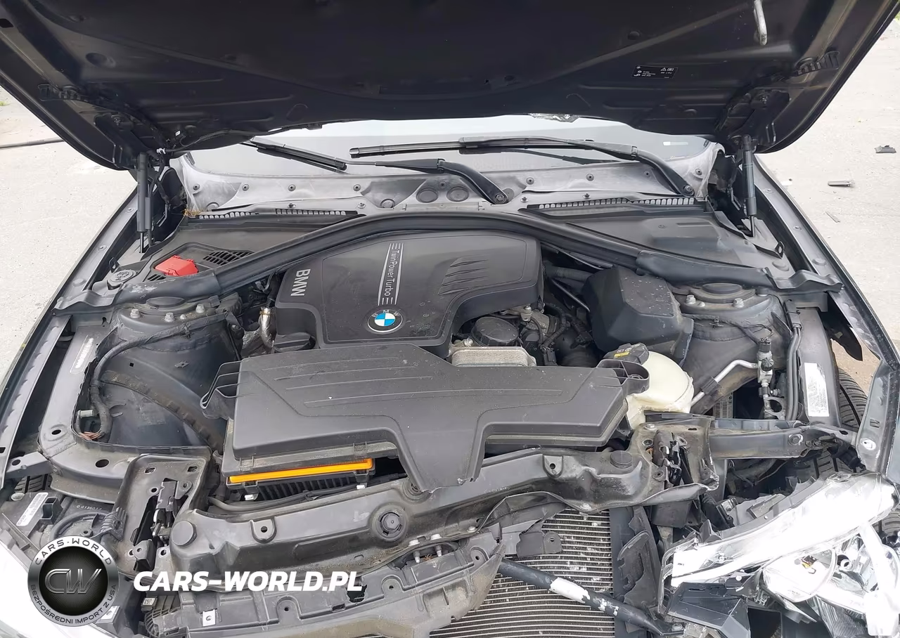 2016 BMW 320I xDrive VIN:WBA8E5G52GNT40781 - 10