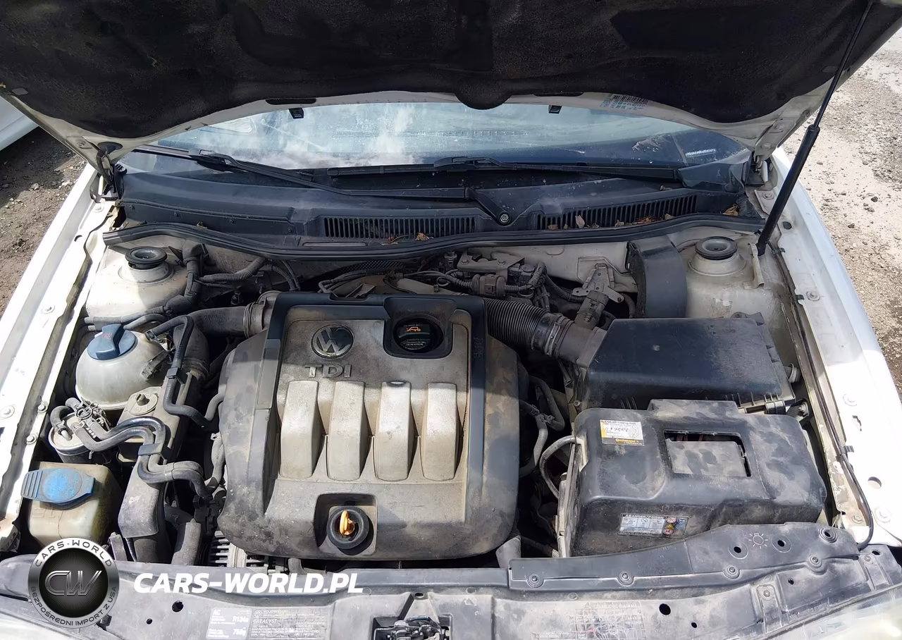 2004 Volkswagen Jetta Gls Tdi VIN:3VWSR69M04M063672 - 10