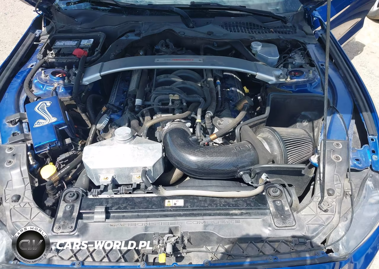 2017 Ford Shelby Gt350 VIN:1FA6P8JZ2H5520707 - 10
