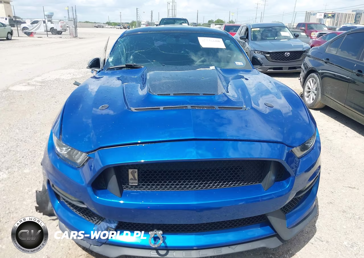 2017 Ford Shelby Gt350 VIN:1FA6P8JZ2H5520707 - 13