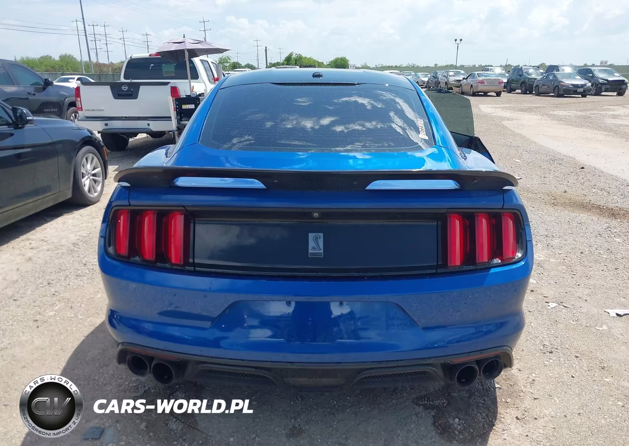 2017 Ford Shelby Gt350 VIN:1FA6P8JZ2H5520707 - 17