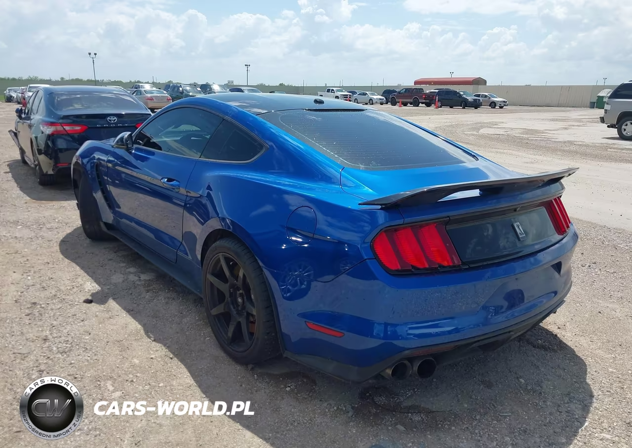 2017 Ford Shelby Gt350 VIN:1FA6P8JZ2H5520707 - 3
