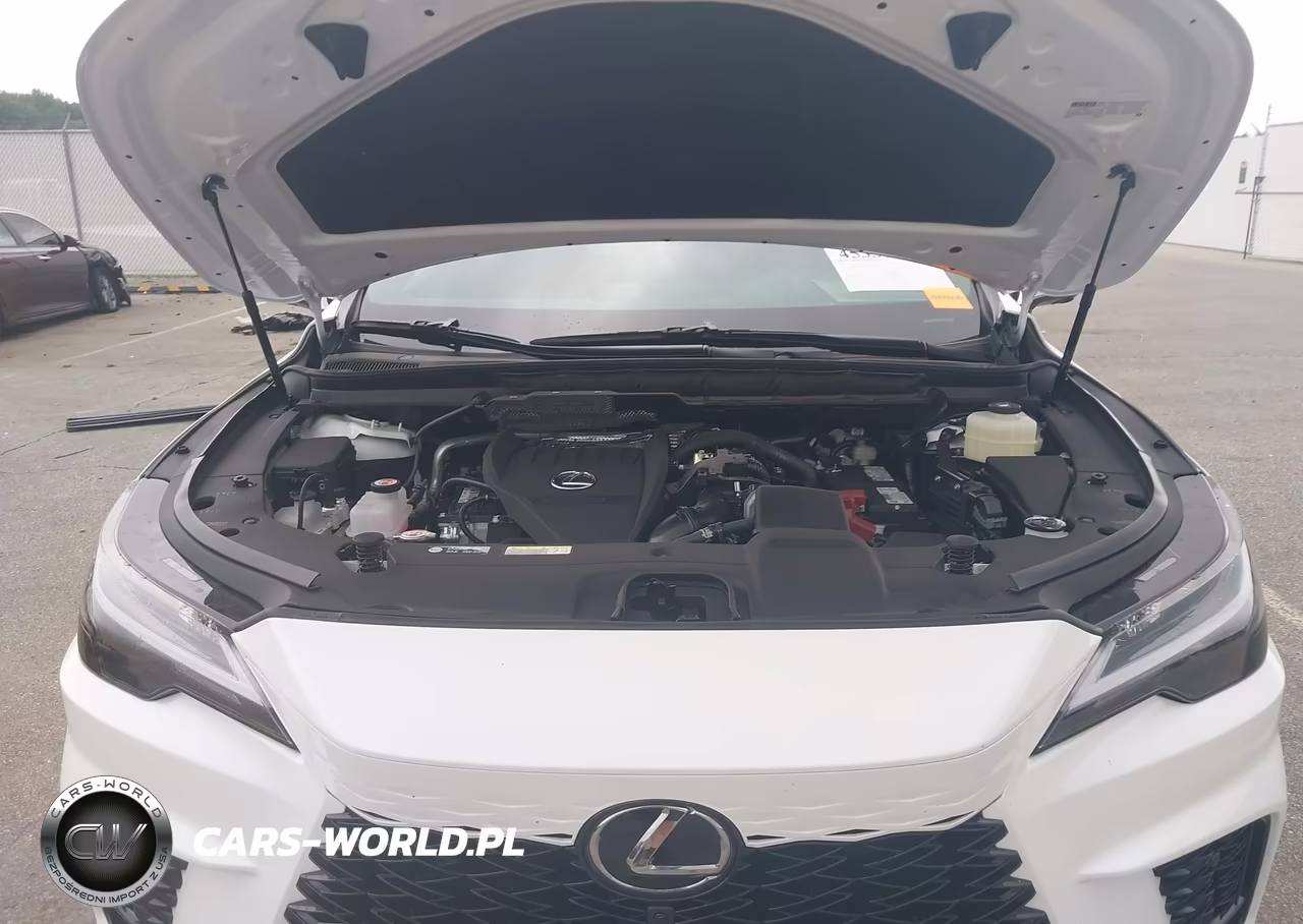 2026 Lexus Rx 350 F Sport Handling VIN:2T2BAMCA0TC138595 - 10