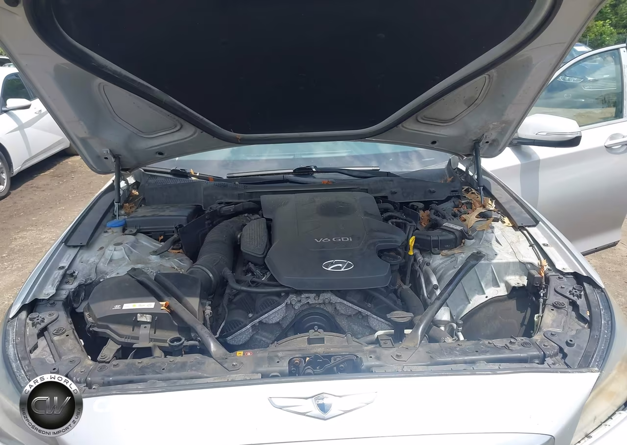 2015 Hyundai Genesis 3.8 VIN:KMHGN4JE8FU100281 - 10