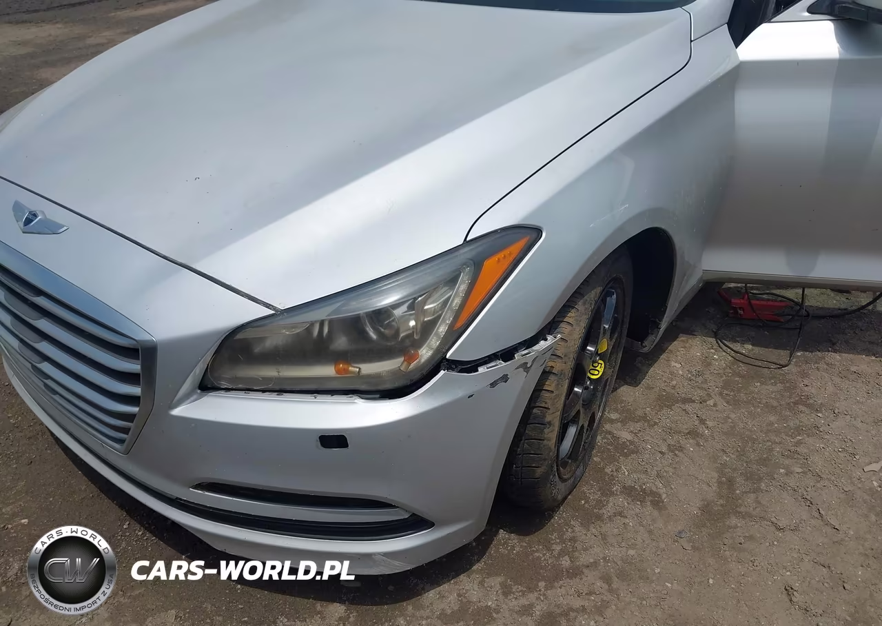 2015 Hyundai Genesis 3.8 VIN:KMHGN4JE8FU100281 - 6