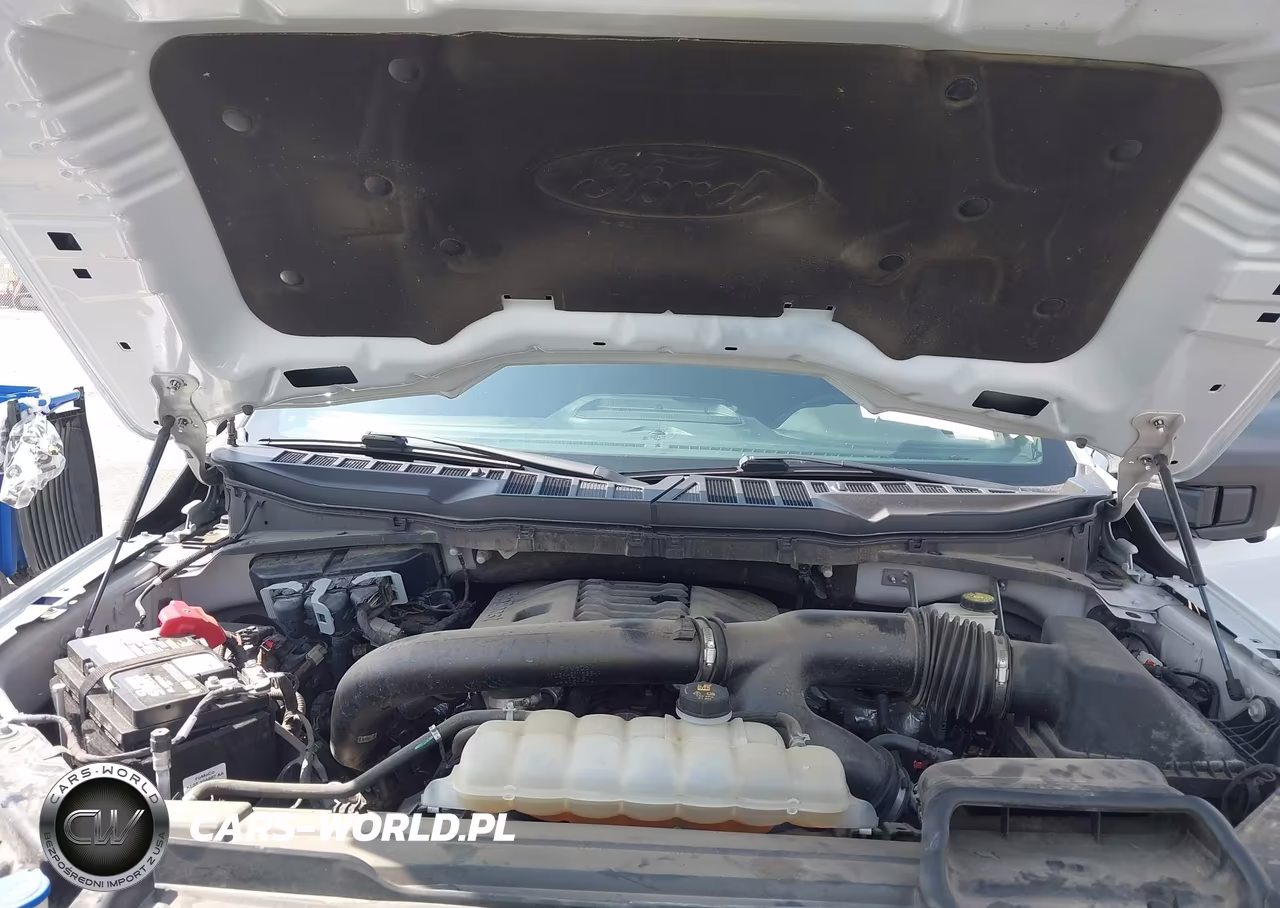 2021 Ford F-150 Xlt VIN:1FTFW1E88MKD94645 - 10