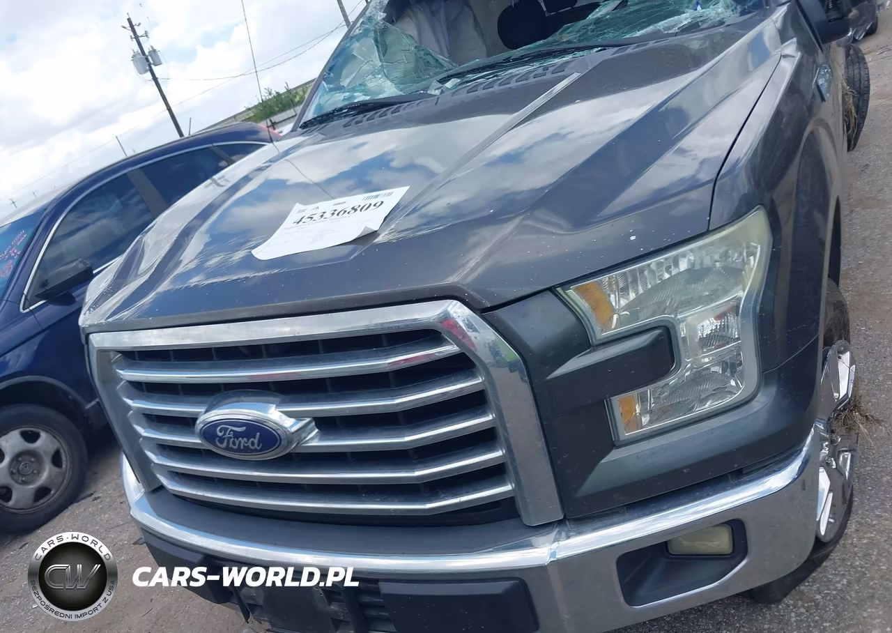 2015 Ford F-150 Xlt VIN:1FTEW1CF4FKE61421 - 12