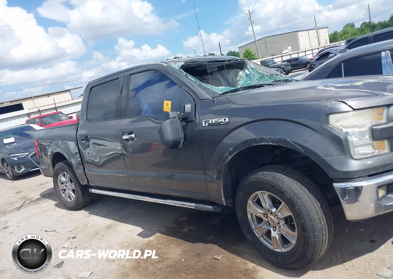 2015 Ford F-150 Xlt VIN:1FTEW1CF4FKE61421 - 13