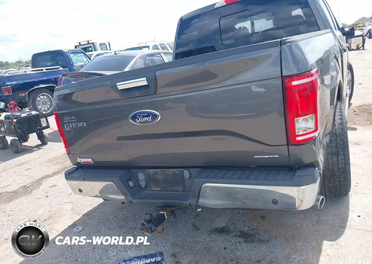 2015 Ford F-150 Xlt VIN:1FTEW1CF4FKE61421 - 16