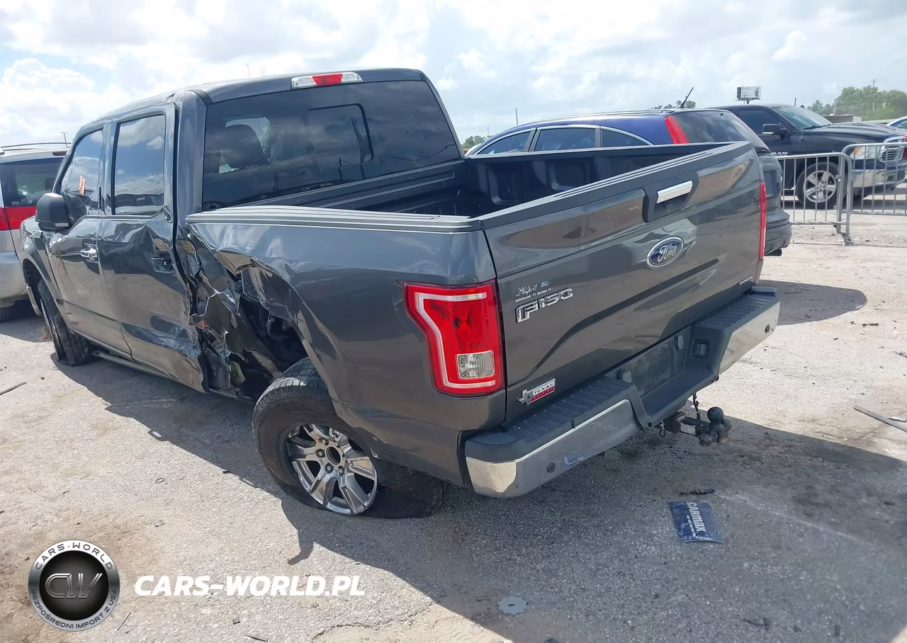 2015 Ford F-150 Xlt VIN:1FTEW1CF4FKE61421 - 3