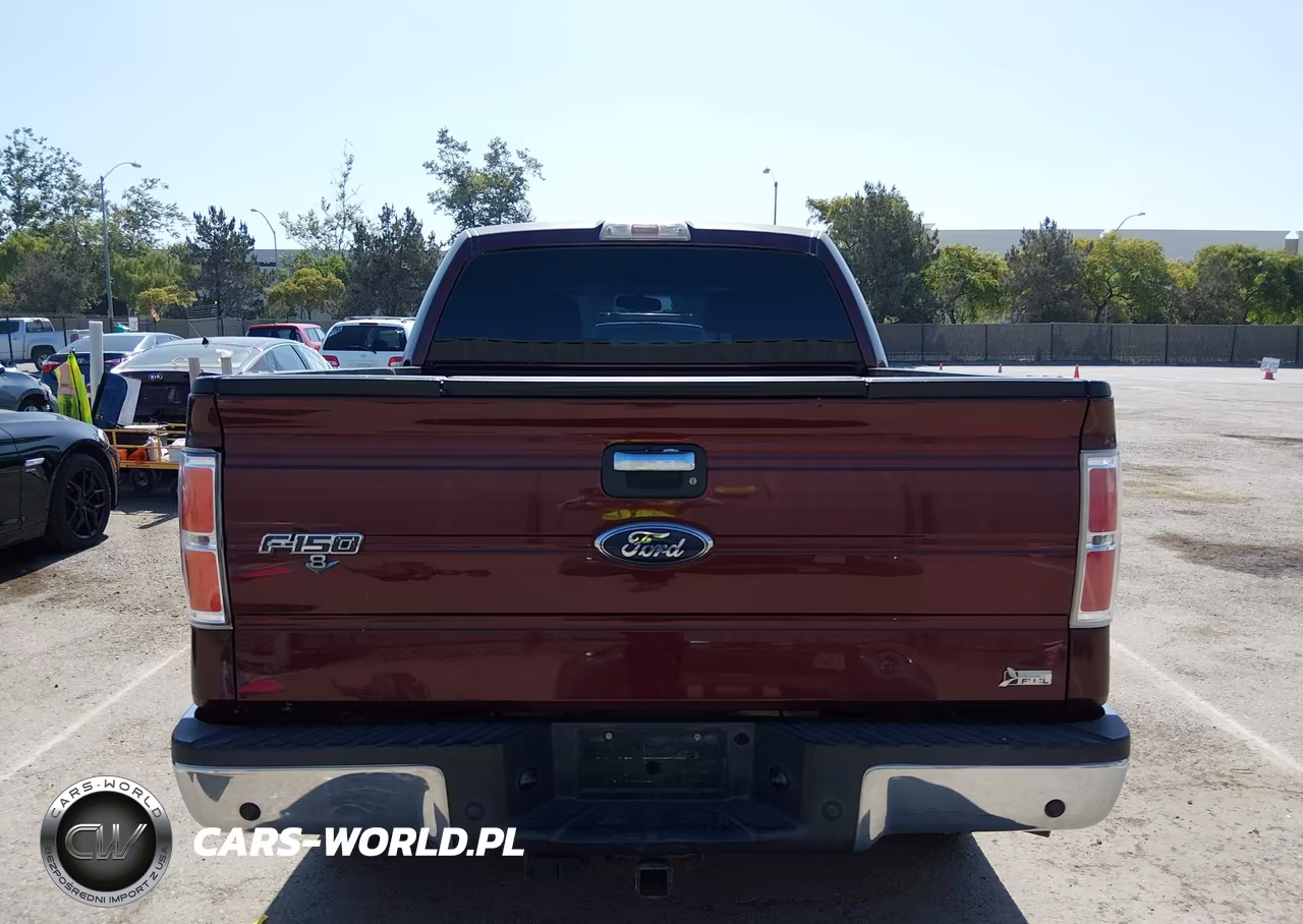 2010 Ford F-150 Fx4-Harley-Davidson-King Ranch-Lariat-Platinum-Xl-Xlt VIN:1FTFW1EVXAKA26971 - 17