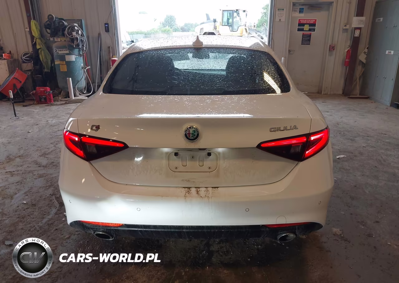 2017 Alfa Romeo Giulia Awd VIN:ZARFAEDN6H7539046 - 16