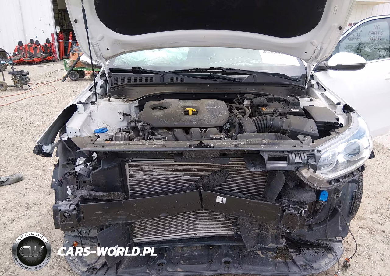 2021 Kia Forte Ex VIN:3KPF54AD2ME284006 - 10