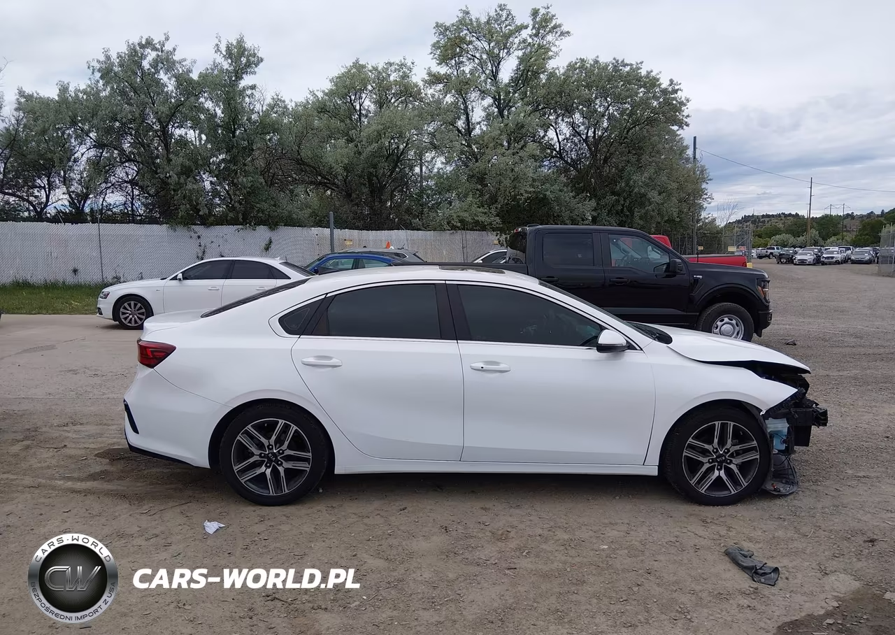 2021 Kia Forte Ex VIN:3KPF54AD2ME284006 - 13