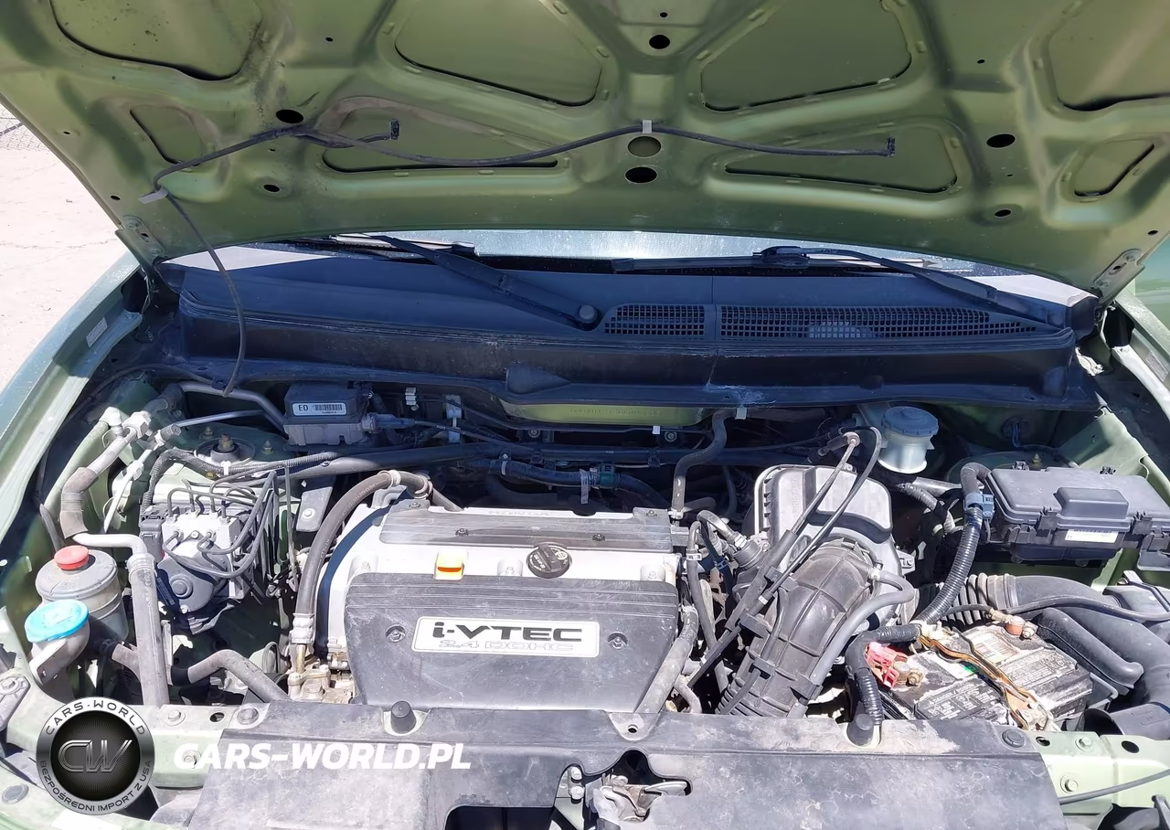2006 Honda Element Ex-P VIN:5J6YH18736L007335 - 10