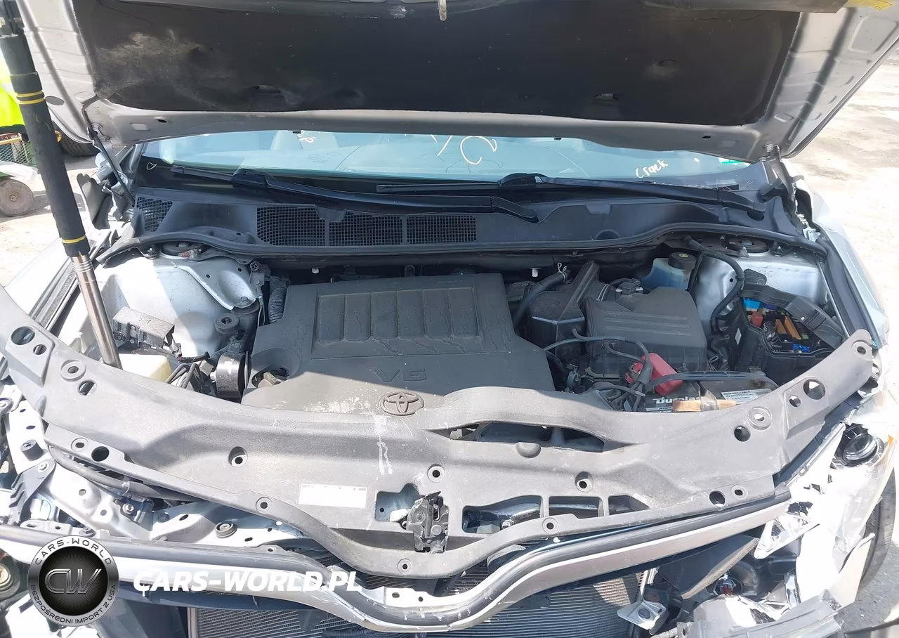 2013 Toyota Venza Xle V6 VIN:4T3BK3BB0DU085183 - 10