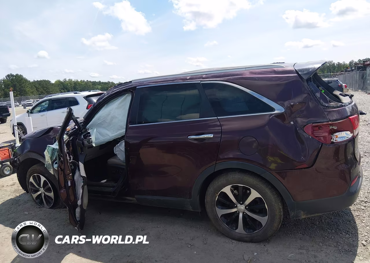 2016 Kia Sorento 3.3L Ex VIN:5XYPH4A58GG160091 - 15