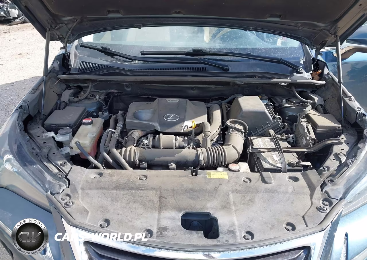 2015 Lexus Nx 200T VIN:JTJYARBZ8F2004405 - 10