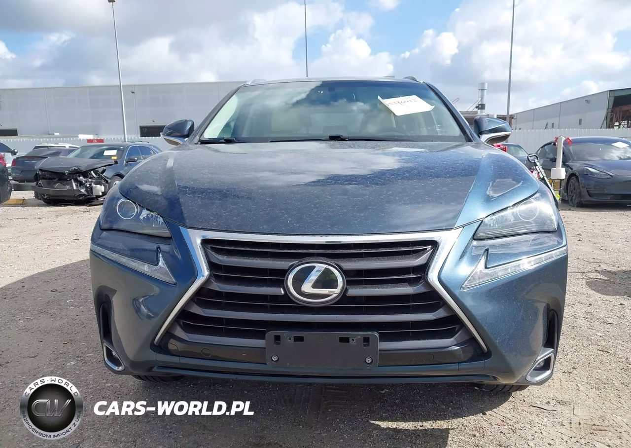 2015 Lexus Nx 200T VIN:JTJYARBZ8F2004405 - 12