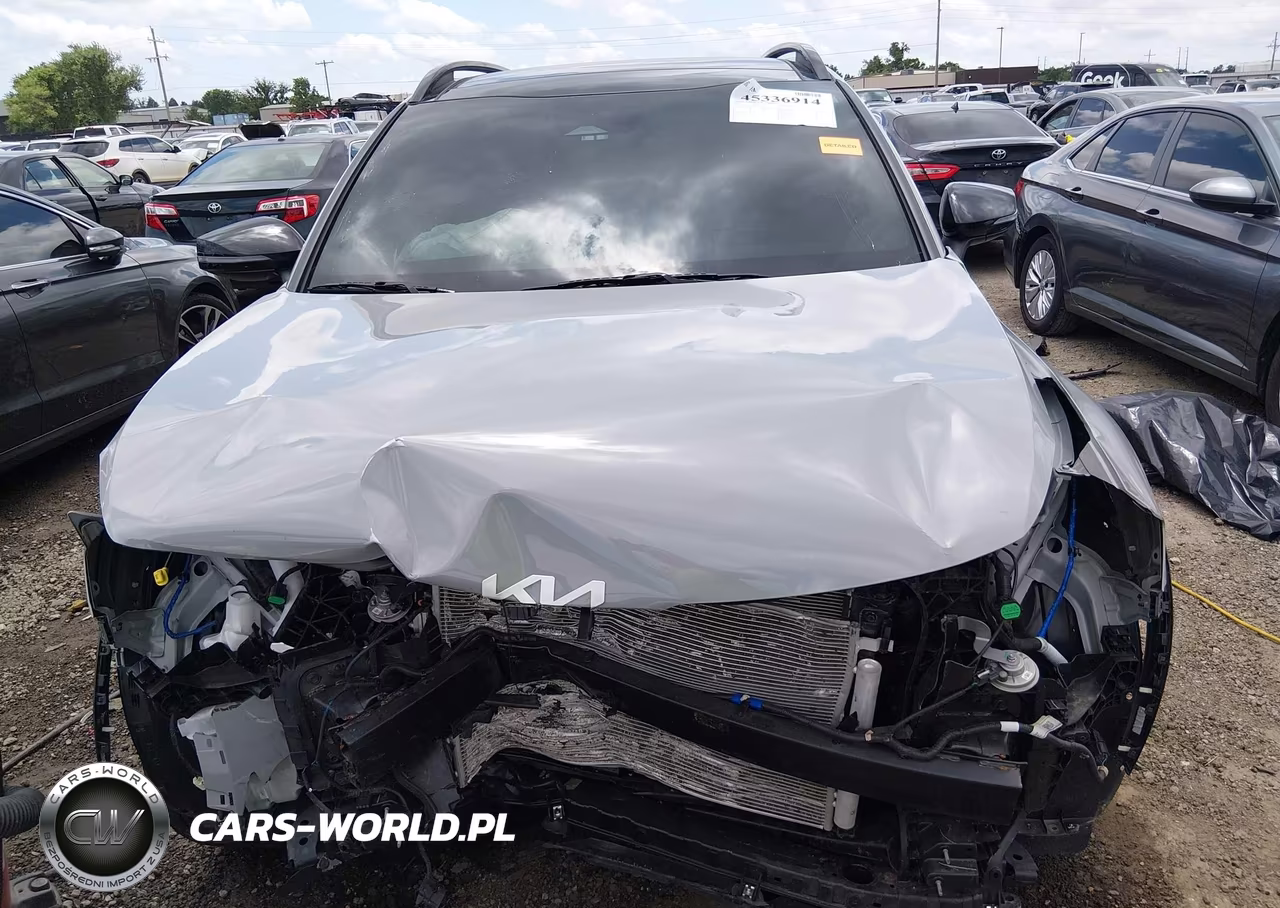 2024 Kia Sportage X-Line VIN:5XYK6CDF5RG221012 - 13