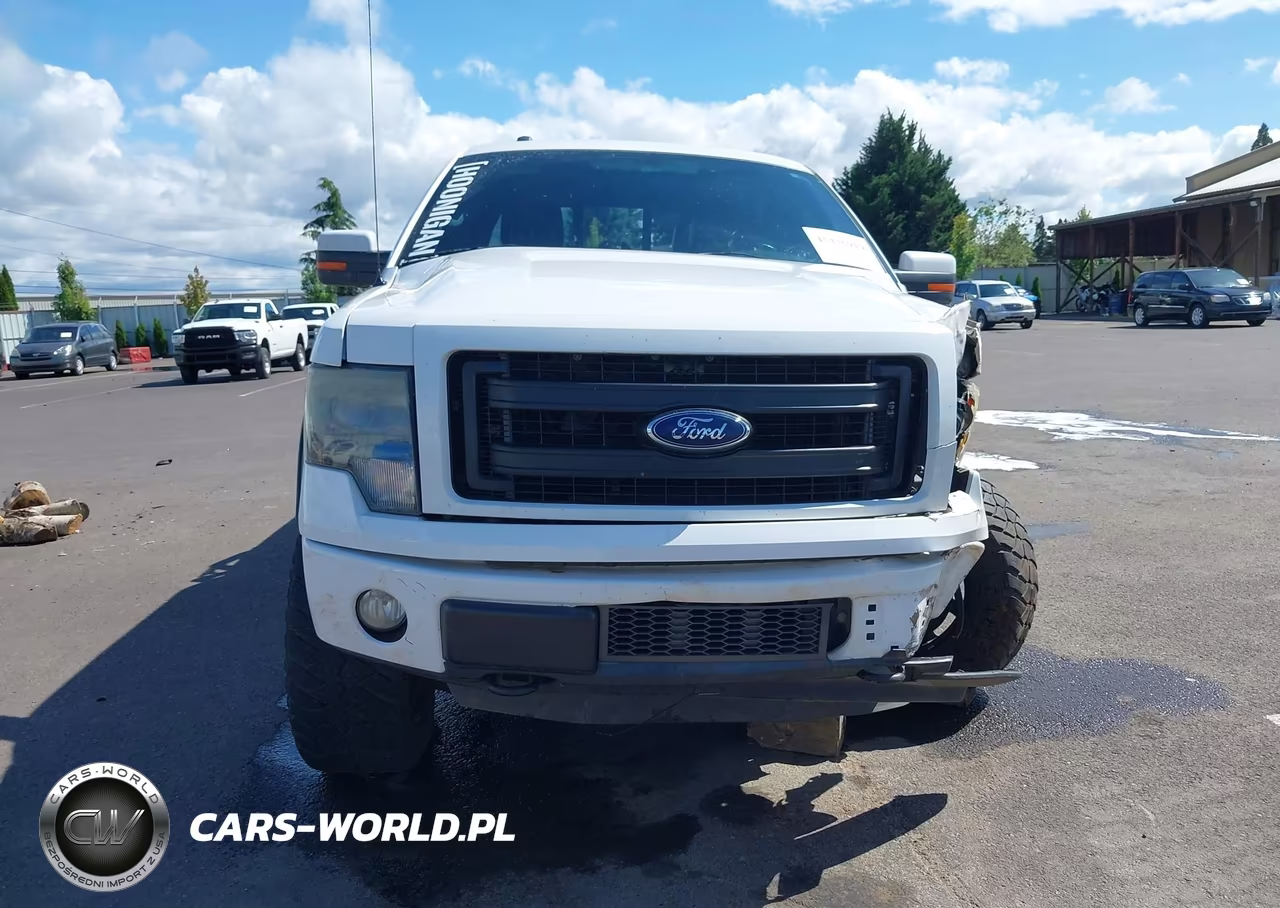 2013 Ford F-150 Fx4 VIN:1FTFW1ET4DKF26546 - 12