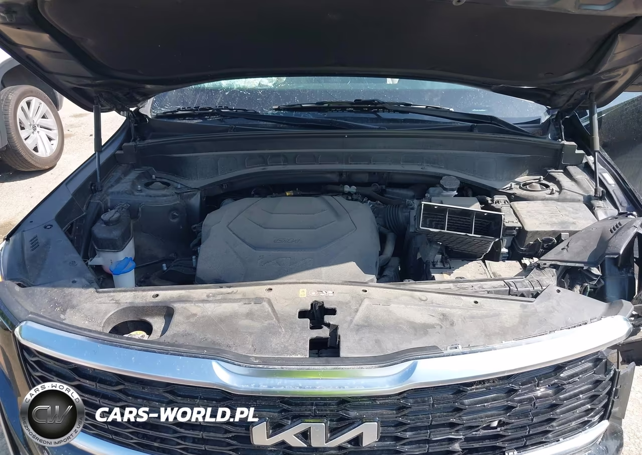 2022 Kia Telluride Ex VIN:5XYP34HC7NG198069 - 10