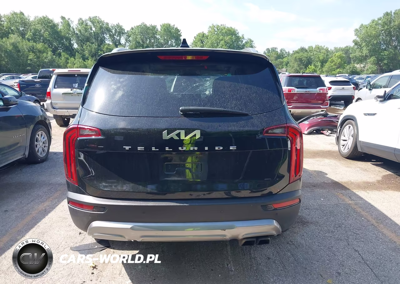 2022 Kia Telluride Ex VIN:5XYP34HC7NG198069 - 17