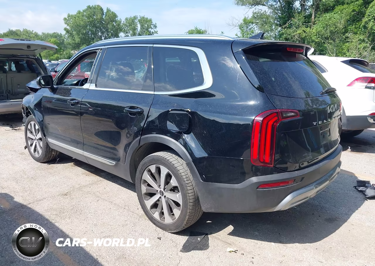2022 Kia Telluride Ex VIN:5XYP34HC7NG198069 - 3