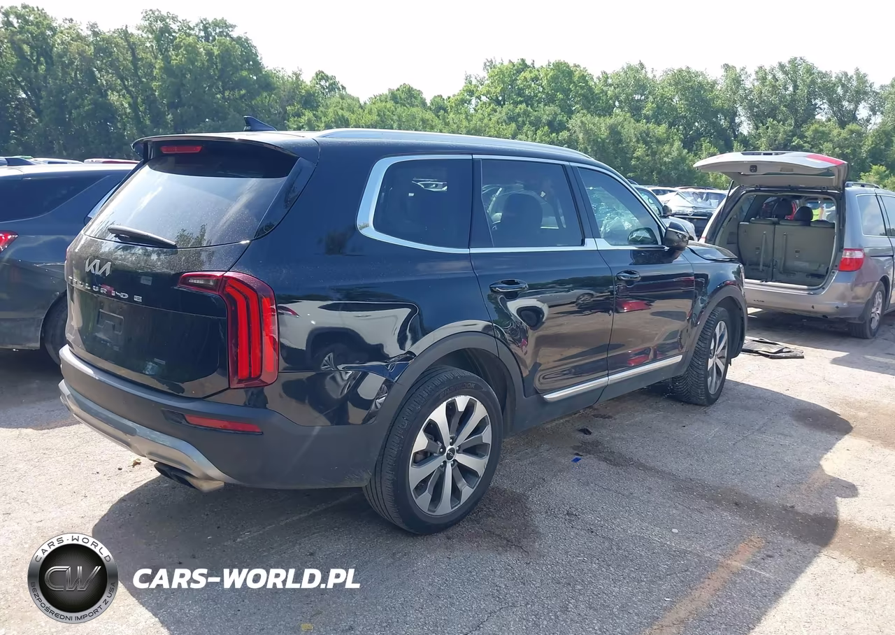 2022 Kia Telluride Ex VIN:5XYP34HC7NG198069 - 4