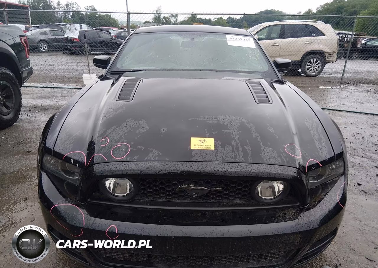 2014 Ford Mustang Gt Premium VIN:1ZVBP8CF7E5260776 - 12