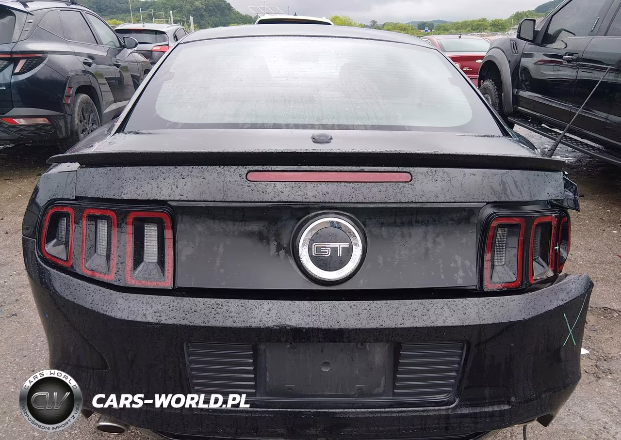 2014 Ford Mustang Gt Premium VIN:1ZVBP8CF7E5260776 - 16