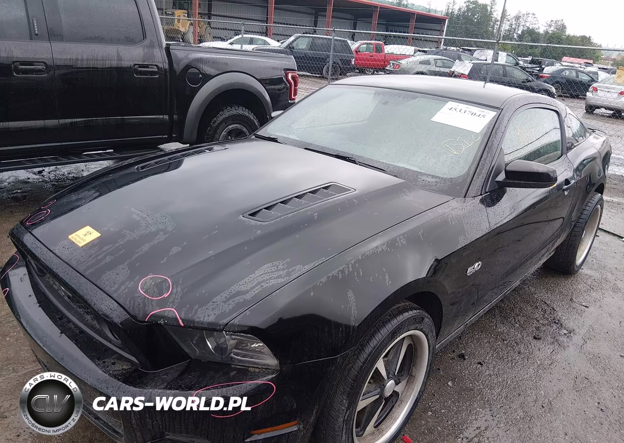 2014 Ford Mustang Gt Premium VIN:1ZVBP8CF7E5260776 - 2