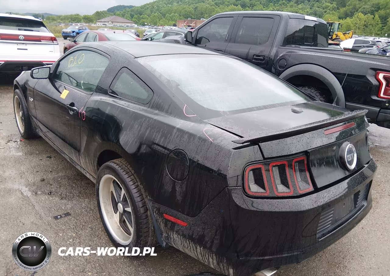 2014 Ford Mustang Gt Premium VIN:1ZVBP8CF7E5260776 - 3