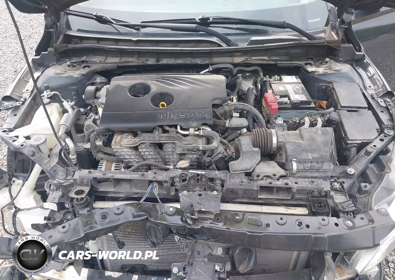 2019 Nissan Altima 2.5 Platinum VIN:1N4BL4FV4KC107036 - 10