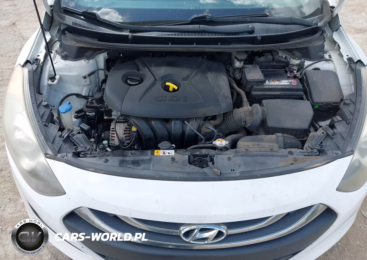 2014 Hyundai Elantra Gt VIN:KMHD35LH1EU225594 - 10