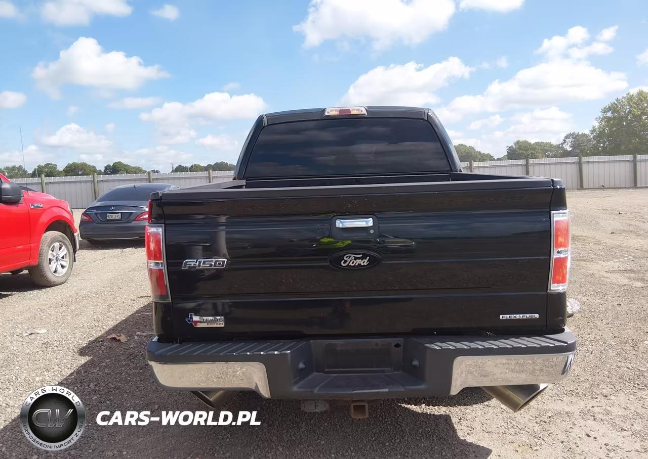 2013 Ford F-150 Xlt VIN:1FTFW1CF5DKE65723 - 17