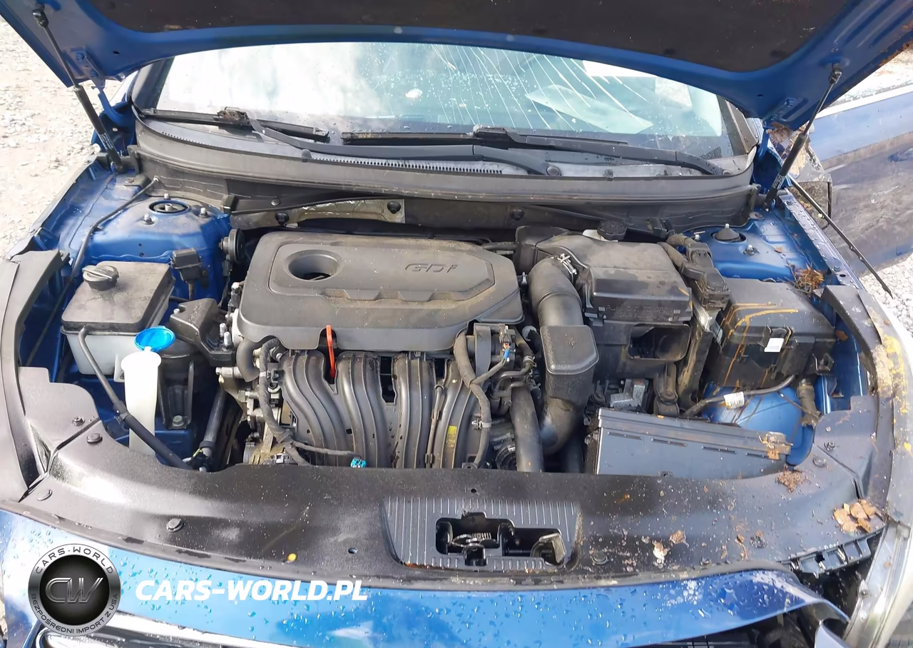 2017 Hyundai Sonata Sport VIN:5NPE34AF4HH441054 - 10