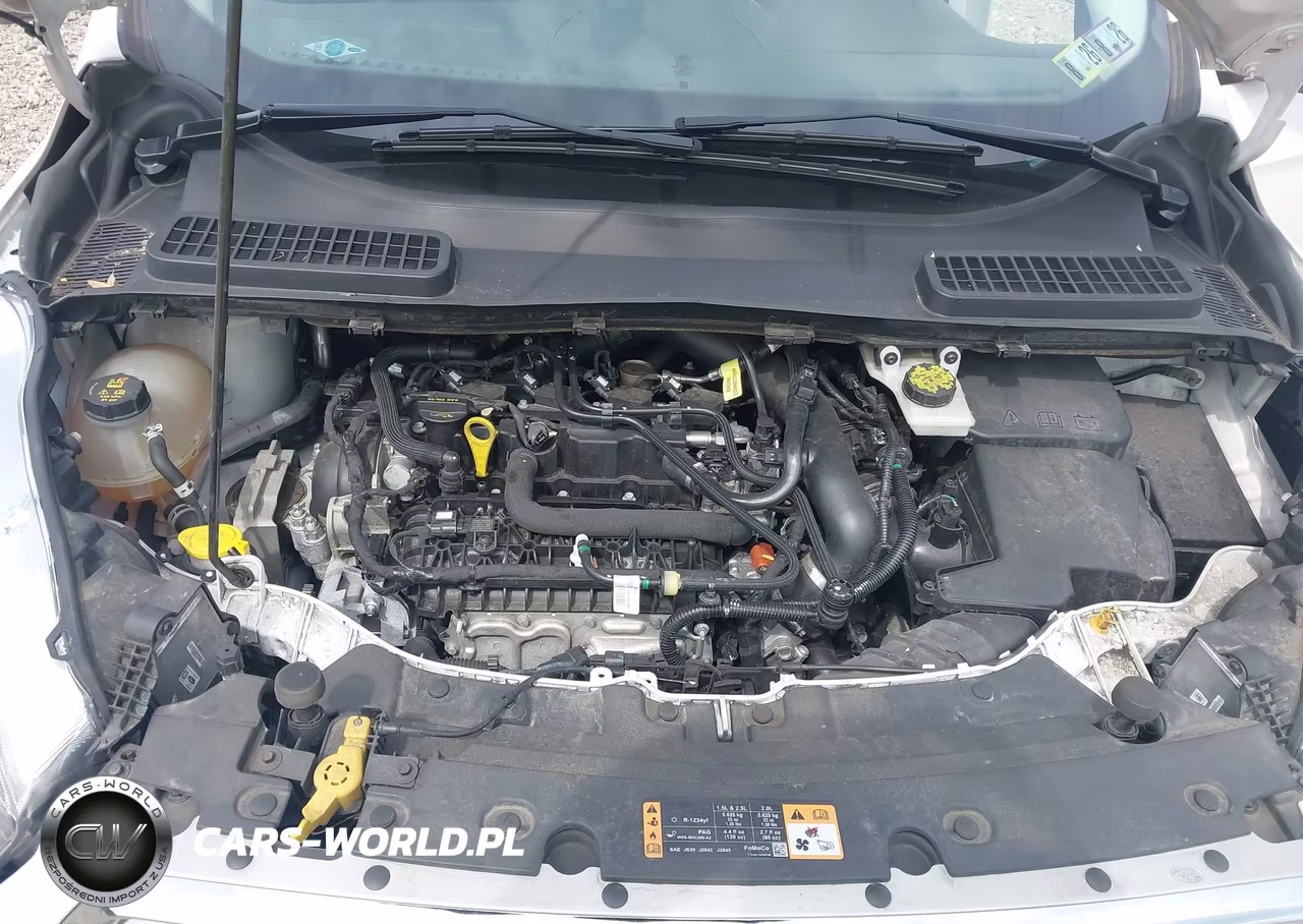 2019 Ford Escape Sel VIN:1FMCU9HD3KUA94119 - 10