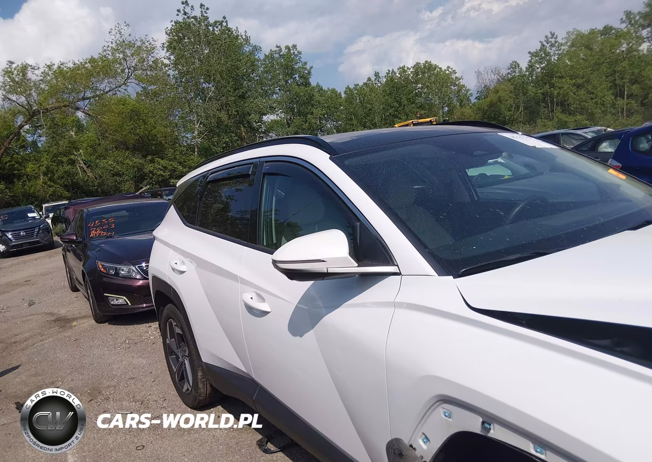 2024 Hyundai Tucson Hybrid Limited VIN:KM8JECD1XRU146871 - 13