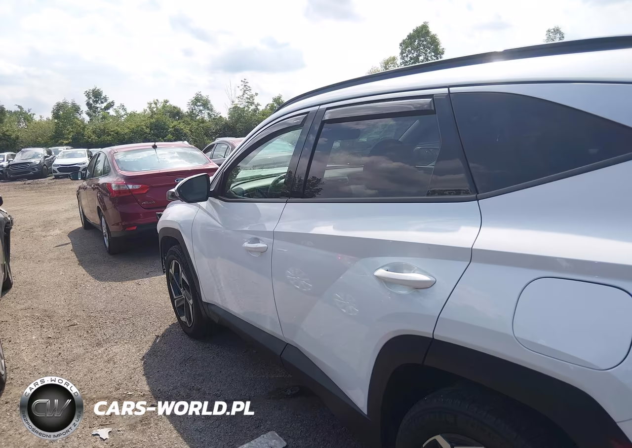 2024 Hyundai Tucson Hybrid Limited VIN:KM8JECD1XRU146871 - 14