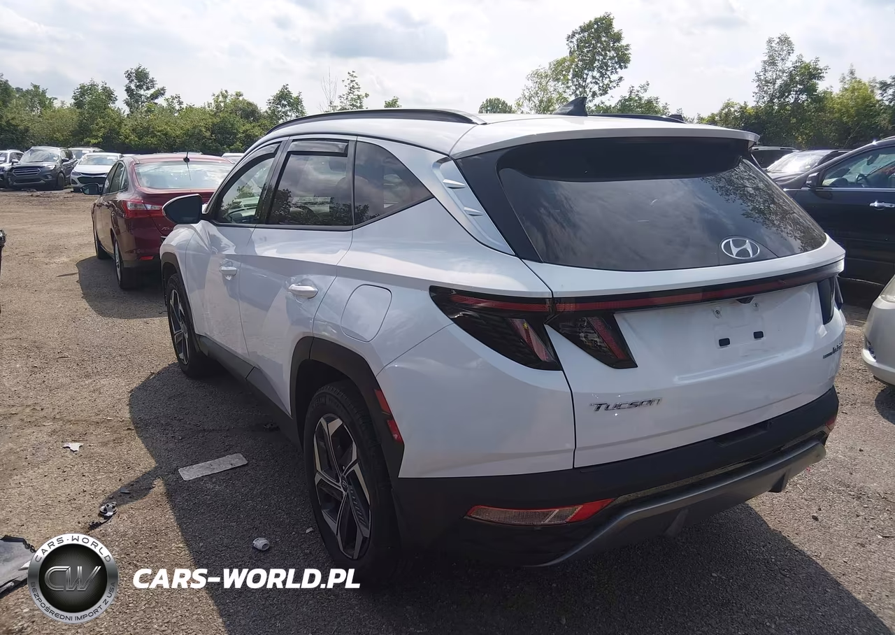 2024 Hyundai Tucson Hybrid Limited VIN:KM8JECD1XRU146871 - 3
