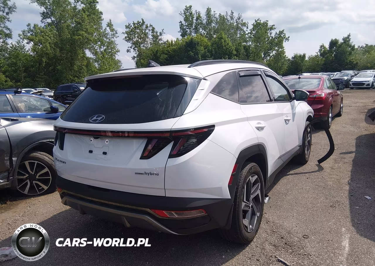 2024 Hyundai Tucson Hybrid Limited VIN:KM8JECD1XRU146871 - 4
