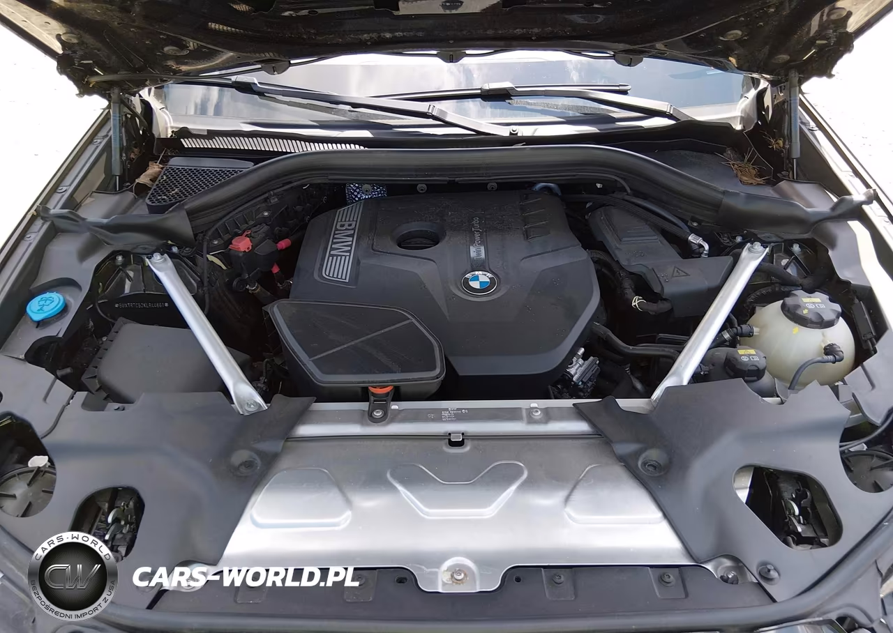 2019 BMW X3 Sdrive30I VIN:5UXTR7C52KLR44661 - 10