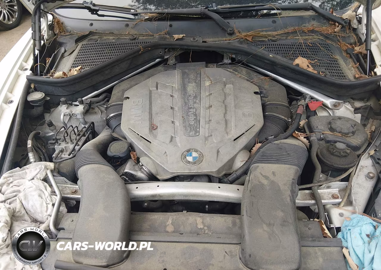 2011 BMW X6 xDrive50I VIN:5UXFG8C54BLZ95541 - 10