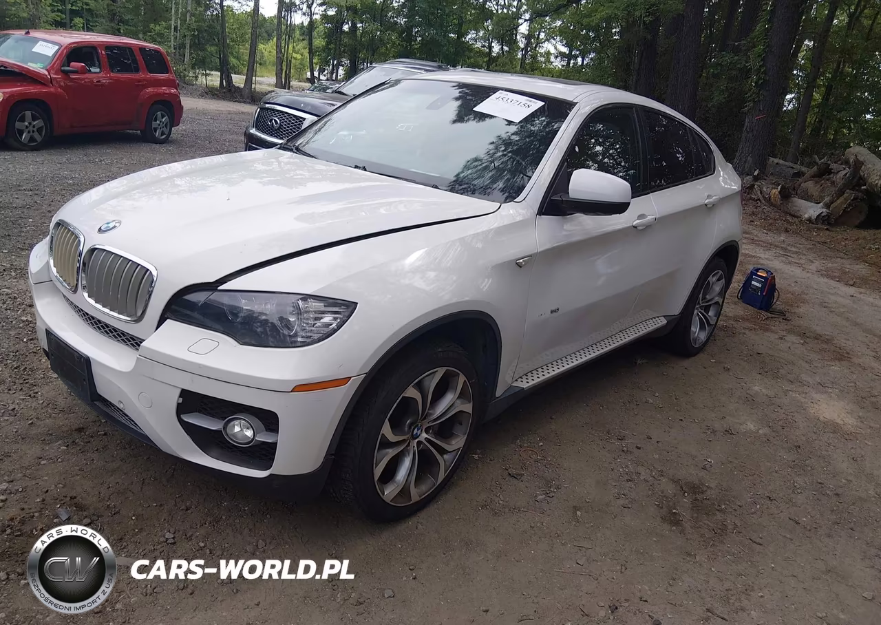 2011 BMW X6 xDrive50I VIN:5UXFG8C54BLZ95541 - 2