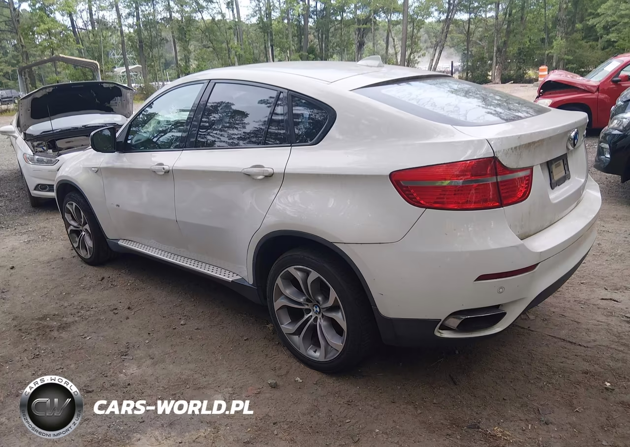 2011 BMW X6 xDrive50I VIN:5UXFG8C54BLZ95541 - 3