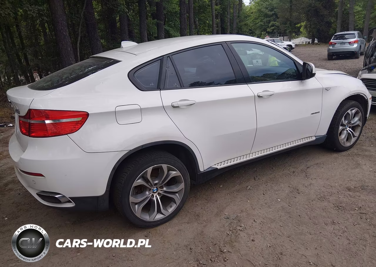 2011 BMW X6 xDrive50I VIN:5UXFG8C54BLZ95541 - 4