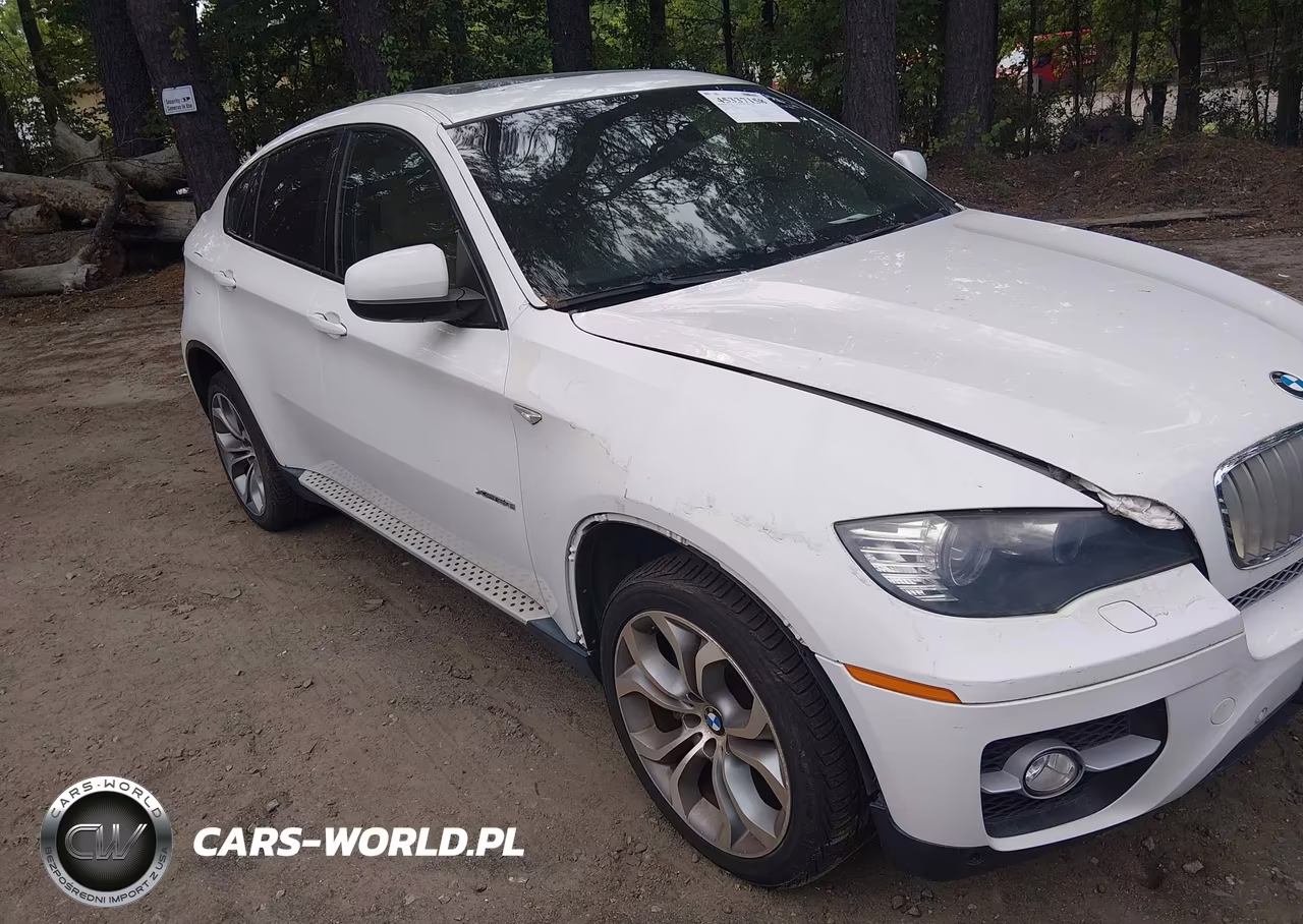 2011 BMW X6 xDrive50I VIN:5UXFG8C54BLZ95541 - 6