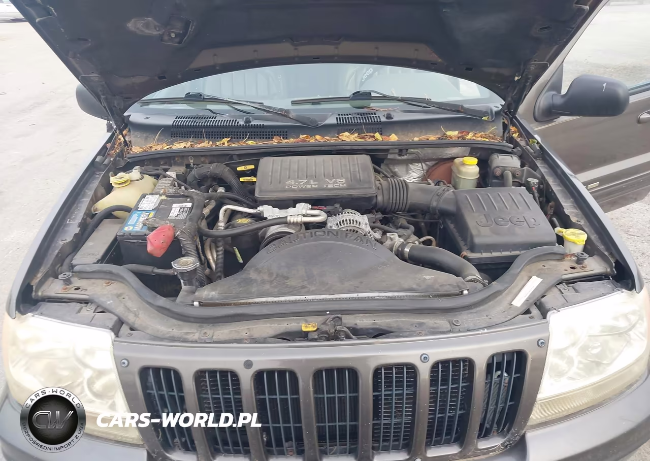 1999 Jeep Grand Cherokee Limited VIN:1J4GW68N5XC738654 - 10